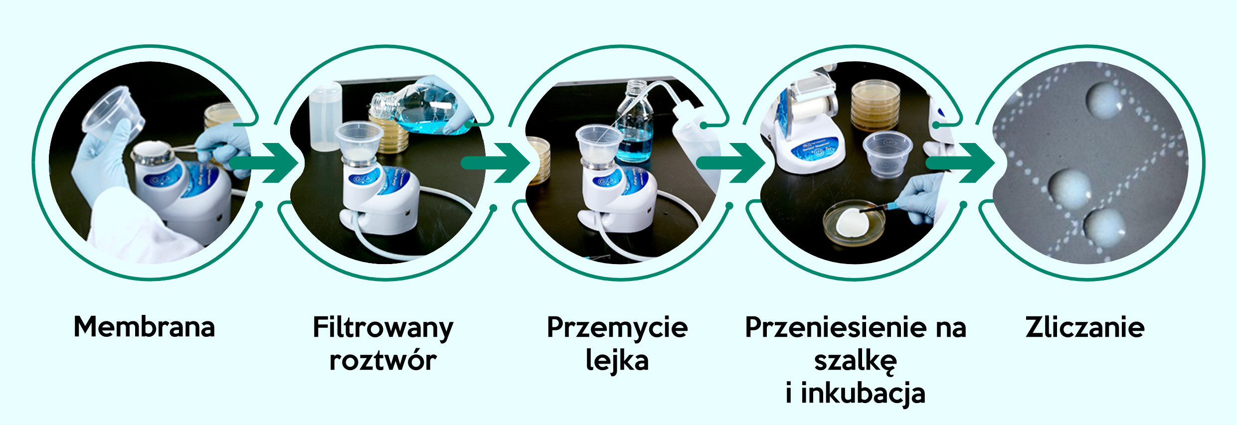 Kroki analityczne wykonywane w technice filtracji membranowej